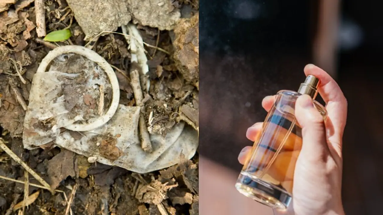 GROUNDBREAKING! Scientists transform stinky sewer waste, including used condoms and wet wipes, into perfume