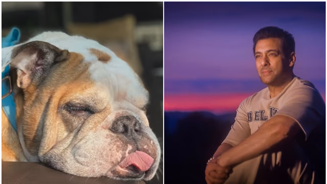 Salman Khan's dog Toro passes away; alleged gf Lulia Vantur says 'Thank you for blessing our lives..' [WATCH]
