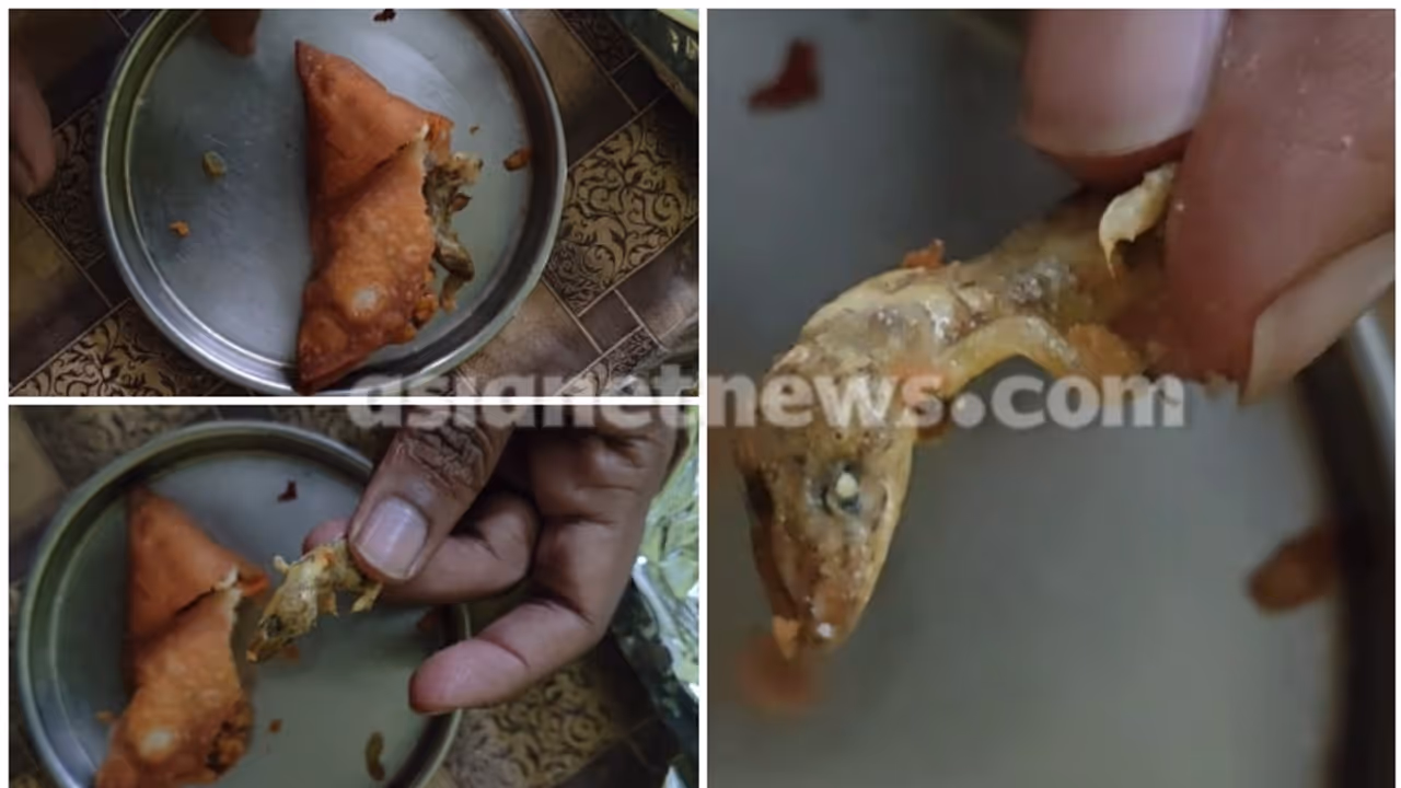 ಮಗಳಿಗಾಗಿ ತಂದ ಸಮೋಸಾದಲ್ಲಿ ಸಿಕ್ತು ಸತ್ತ ಹಲ್ಲಿ; ತಂದೆ ಶಾಕ್