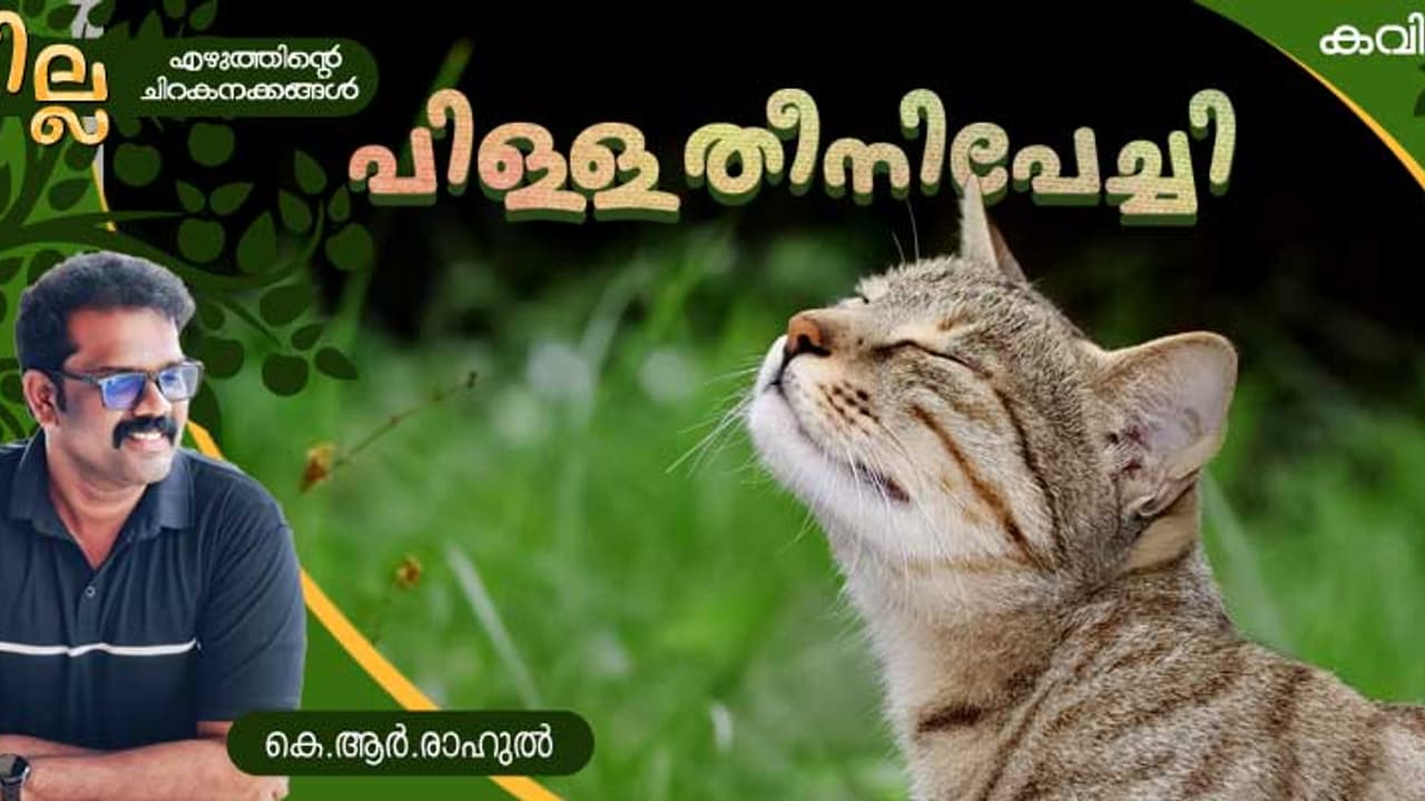 Malayalam Poem: പിള്ളതീനിപേച്ചി, കെ.ആര്.രാഹുല് എഴുതിയ കവിത Malayalam Poem: പിള്ളതീനിപേച്ചി, കെ.ആര്.രാഹുല് എഴുതിയ കവിത