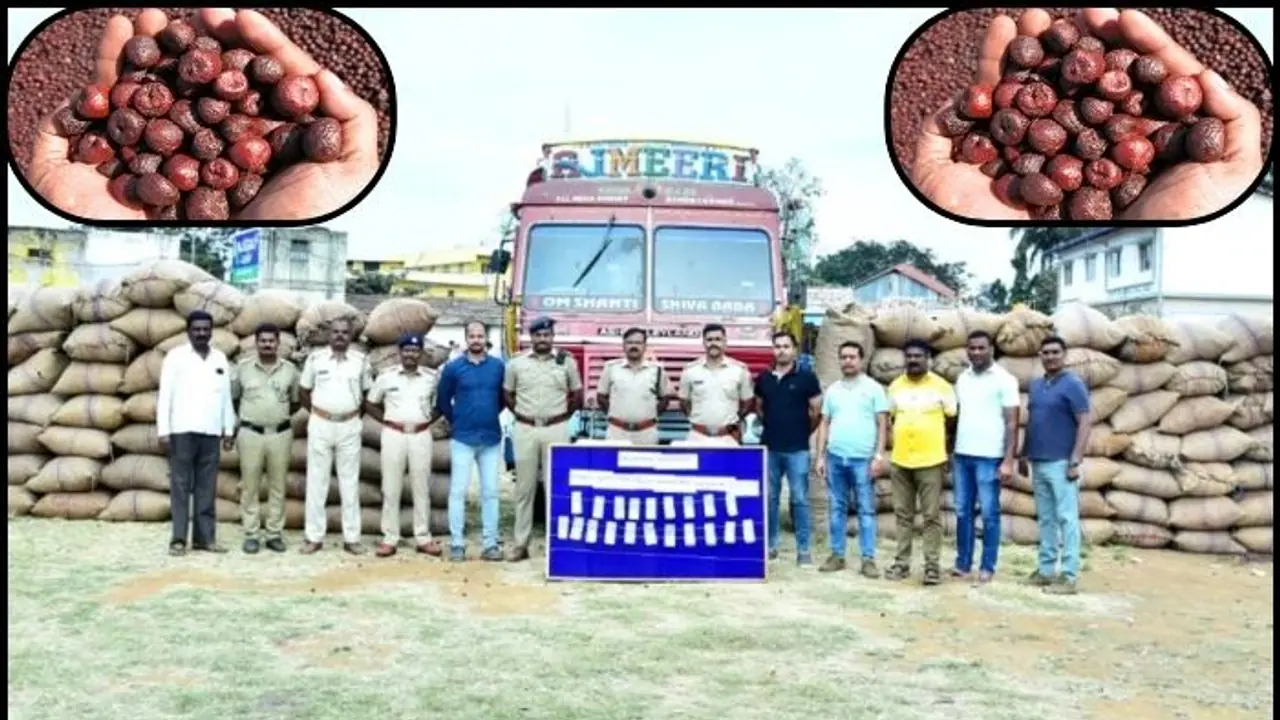 ಶಿವಮೊಗ್ಗದಲ್ಲಿ ₹1 ಕೋಟಿ ಮೌಲ್ಯದ 335 ಅಡಿಕೆ ಚೀಲವುಳ್ಳ ಲಾರಿ ಕದ್ದ ಅಮೀರ್, ಸುಭಾನ್, ಫಯಾಜ್, ಸಾಧಿಕ್ ಅರೆಸ್ಟ್!