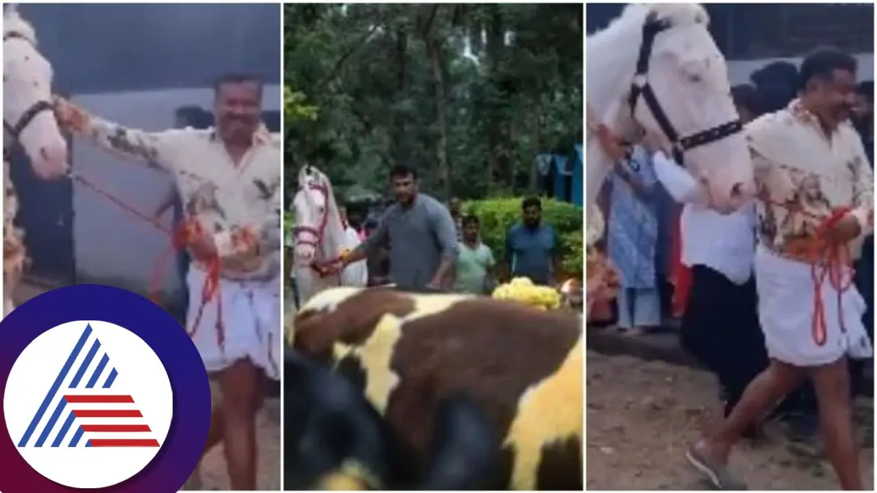 ಈ ವರ್ಷ ದರ್ಶನ್ ನೆಚ್ಚಿನ ಕುದುರೆ ಕಿಚ್ಚು ಹಾಯಿಸಿದ್ದು ಇವರೇ; ವಿಡಿಯೋ ವೈರಲ್ 