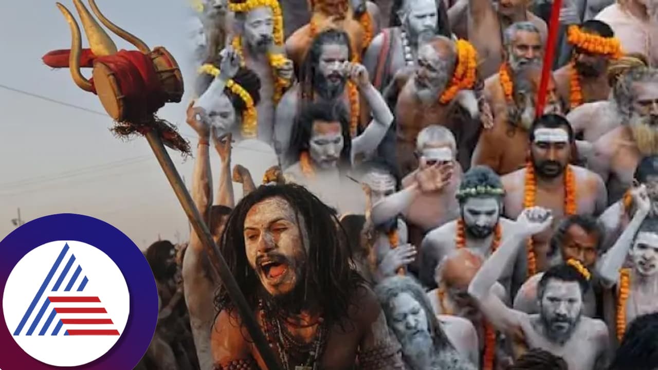 ಬದುಕಿರುವಾಗಲೇ ಪಿಂಡದಾನ! ನಾಗಾಸಾಧುಗಳ ಅಂತ್ಯಕ್ರಿಯೆ ಪ್ರಕ್ರಿಯೆಯೇ ಕುತೂಹಲ: ಹೀಗಿರುತ್ತೆ ನೋಡಿ ಪದ್ಧತಿ