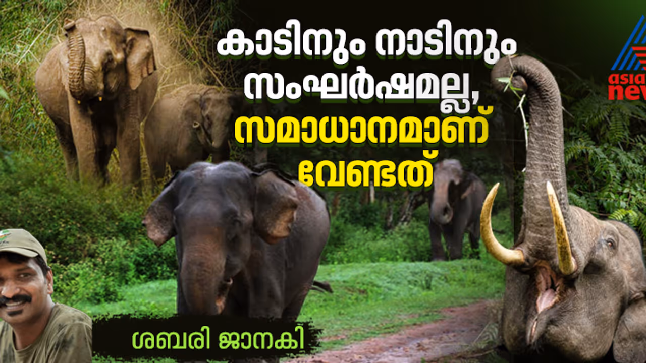 കാട് ഇറങ്ങുന്നവരും കാട് ഇറക്കുന്നവരും; കാടേറിയ അനുഭവത്തില്‍ നിന്നും ഒരു കുറിപ്പ്