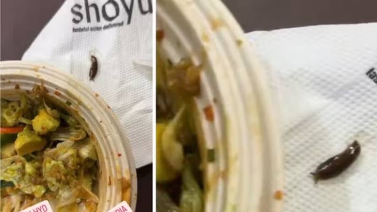 ഓർഡർ ചെയ്ത സാലഡിൽ ജീവനുള്ള ഒച്ച്, വീഡിയോയുമായി യുവതി, ഇത് സത്യമോ എന്ന് നെറ്റിസൺസ്