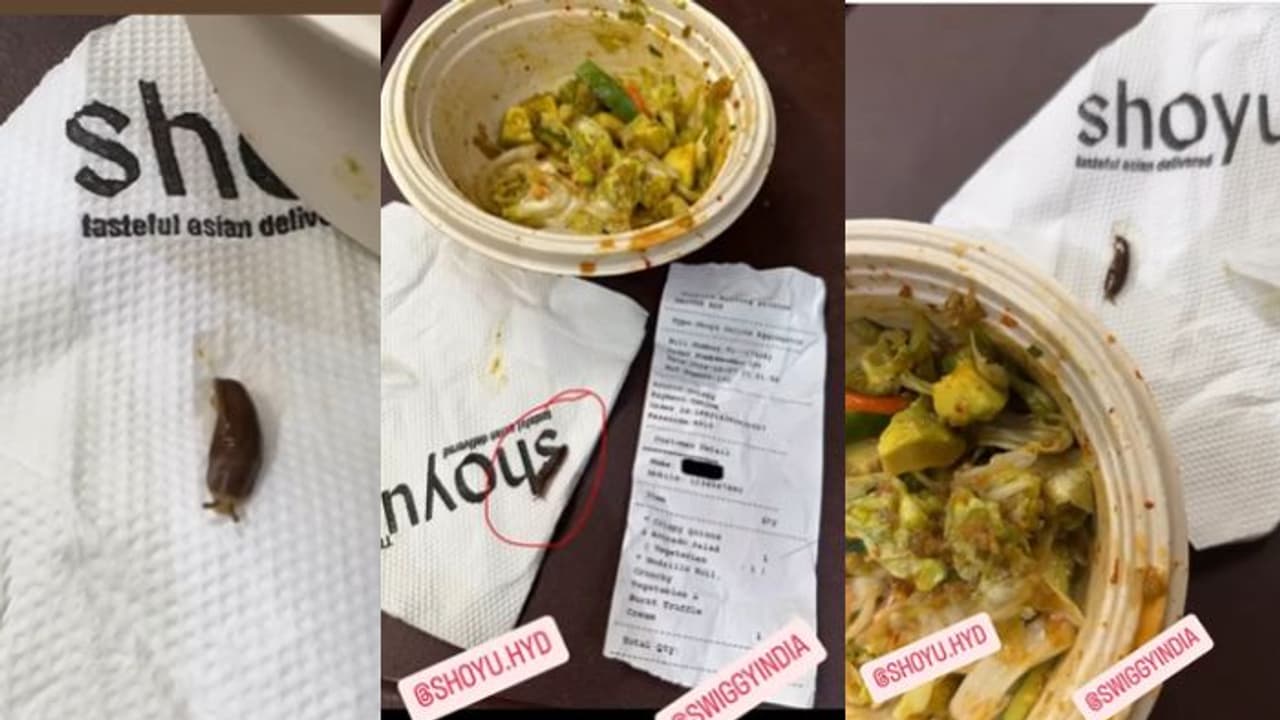 ಮೊನ್ನೆ ಜೊಮೆಟೋ, ಇಂದು ಸ್ವಿಗ್ಗಿ ಆರ್ಡರ್‌ನಲ್ಲಿ ಬಸವನ ಹುಳು ಪತ್ತೆ; ನಾವು ಎಲ್ಲಿದ್ದೇವೆ ಭಾರತ ಅಥವಾ ಚೀನಾದಲ್ಲೋ?