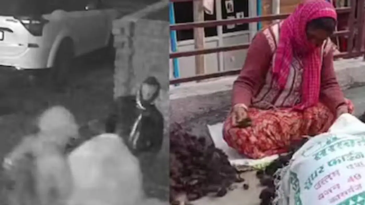 ഒന്നും രണ്ടുമല്ല 7 ലക്ഷം രൂപയുടെ തലമുടിയാണ് കള്ളന്മാർ കൊണ്ടുപോയത്, മോഷണവിവരം കേട്ട് പൊലീസ് വരെ ഞെട്ടി