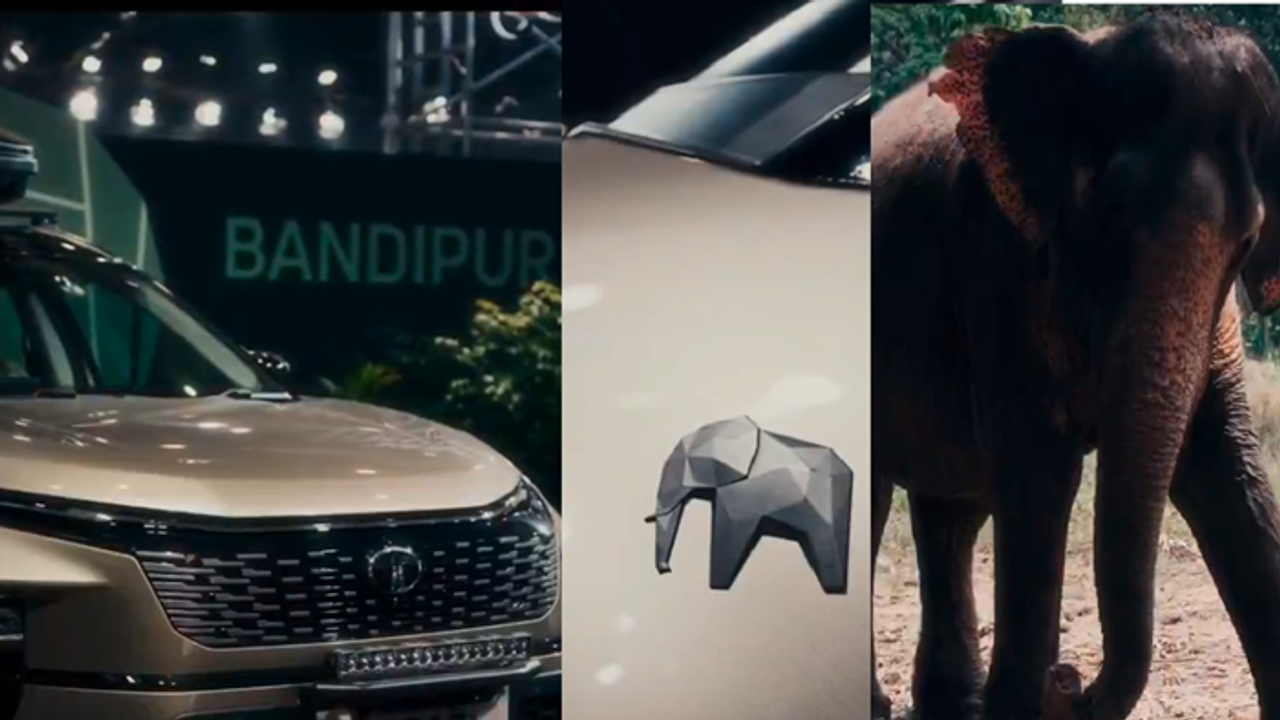 Tata honours Bandipur Tiger reserve with special edition Harrier, Nexon and Safari at Delhi Auto Expo 2025