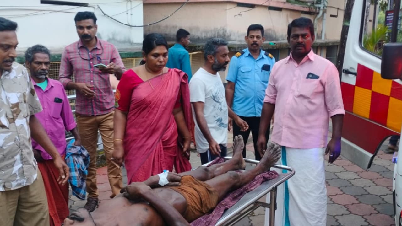 വിതുരയിൽ കാട്ടാന ആക്രമണം, റബർ ടാപ്പിങ്ങിനിറങ്ങിയ ആദിവാസിയെ ചവിട്ടി, തുമ്പിക്കൈയിൽ തൂക്കി എറിഞ്ഞു വിതുരയിൽ കാട്ടാന ആക്രമണം, റബർ ടാപ്പിങ്ങിനിറങ്ങിയ ആദിവാസിയെ ചവിട്ടി, തുമ്പിക്കൈയിൽ തൂക്കി എറിഞ്ഞു