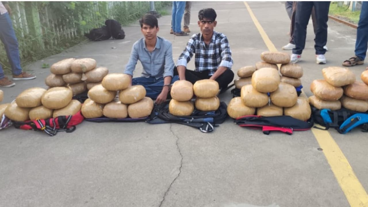 ട്രെയിനിൽ നിന്ന് കിട്ടുന്നത് ബാഗുകളും പൊതികളും മാത്രം, ആളുകൾ മറ്റൊരു കോച്ചിൽ ഇരിക്കും; കൈയോടെ പിടികൂടി പൊലീസ് ട്രെയിനിൽ നിന്ന് കിട്ടുന്നത് ബാഗുകളും പൊതികളും മാത്രം, ആളുകൾ മറ്റൊരു കോച്ചിൽ ഇരിക്കും; കൈയോടെ പിടികൂടി പൊലീസ്