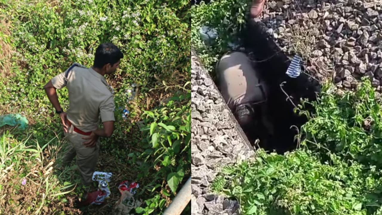 വടക്കാഞ്ചേരി റെയില്‍വേ ട്രാക്കിനരികിൽ രണ്ടാഴ്ച്ച പഴക്കമുള്ള മൃതദേഹം കണ്ടെത്തി