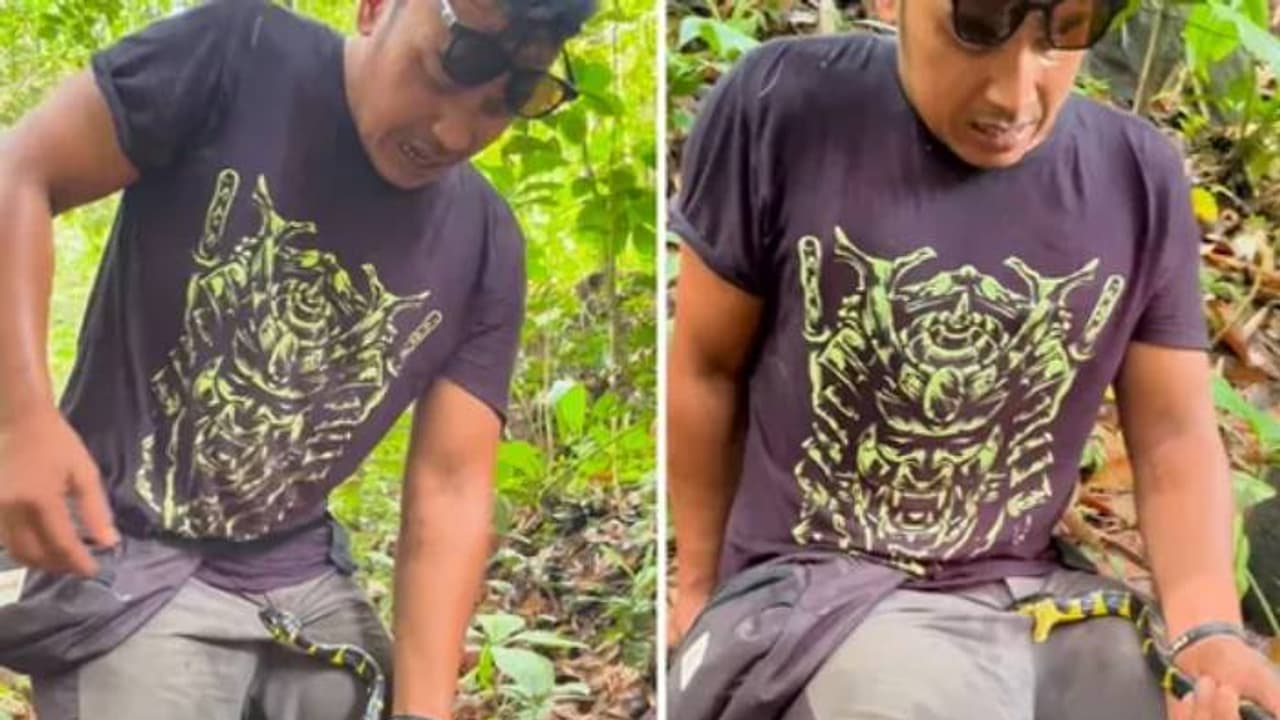 നടുക്കുന്ന ദൃശ്യങ്ങൾ; സ്വകാര്യഭാഗത്ത് പാമ്പുകടിയേറ്റു, വേദനകൊണ്ട് പുളഞ്ഞ് യുവാവ്, പാമ്പുമായി വീഡിയോ പതിവ് നടുക്കുന്ന ദൃശ്യങ്ങൾ; സ്വകാര്യഭാഗത്ത് പാമ്പുകടിയേറ്റു, വേദനകൊണ്ട് പുളഞ്ഞ് യുവാവ്, പാമ്പുമായി വീഡിയോ പതിവ്