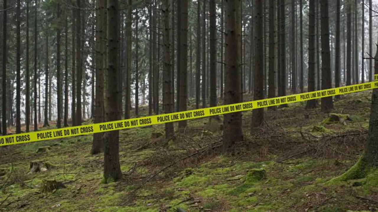 'Save family's honor': UP teen takes cousin's help, kills mother's live in partner, dumps body to seek revenge