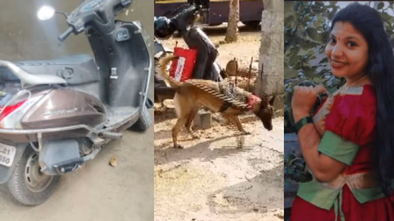 എല്ലാ മാസവും കഠിനംകുളത്ത് ആതിരയെ കാണാനെത്തുന്ന യുവാവ്, പെരുമാതുറയിലെ മുറിയിൽ പരിശോധന; പ്രതിയെ തേടി പൊലീസ് എല്ലാ മാസവും കഠിനംകുളത്ത് ആതിരയെ കാണാനെത്തുന്ന യുവാവ്, പെരുമാതുറയിലെ മുറിയിൽ പരിശോധന; പ്രതിയെ തേടി പൊലീസ്