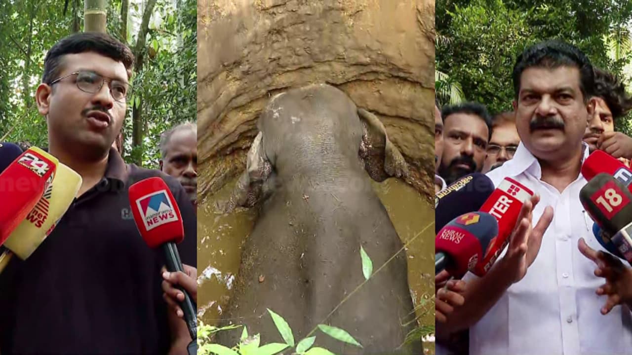 കിണറിൽ വീണ ആനയുടെ ആരോഗ്യസ്ഥിതി നോക്കി മയക്കുവെടി വെക്കുമെന്ന് ഡിഎഫ്ഒ; കിണറ്റിൽ മണ്ണിട്ട് മൂടണമെന്ന് അൻവർ കിണറിൽ വീണ ആനയുടെ ആരോഗ്യസ്ഥിതി നോക്കി മയക്കുവെടി വെക്കുമെന്ന് ഡിഎഫ്ഒ; കിണറ്റിൽ മണ്ണിട്ട് മൂടണമെന്ന് അൻവർ