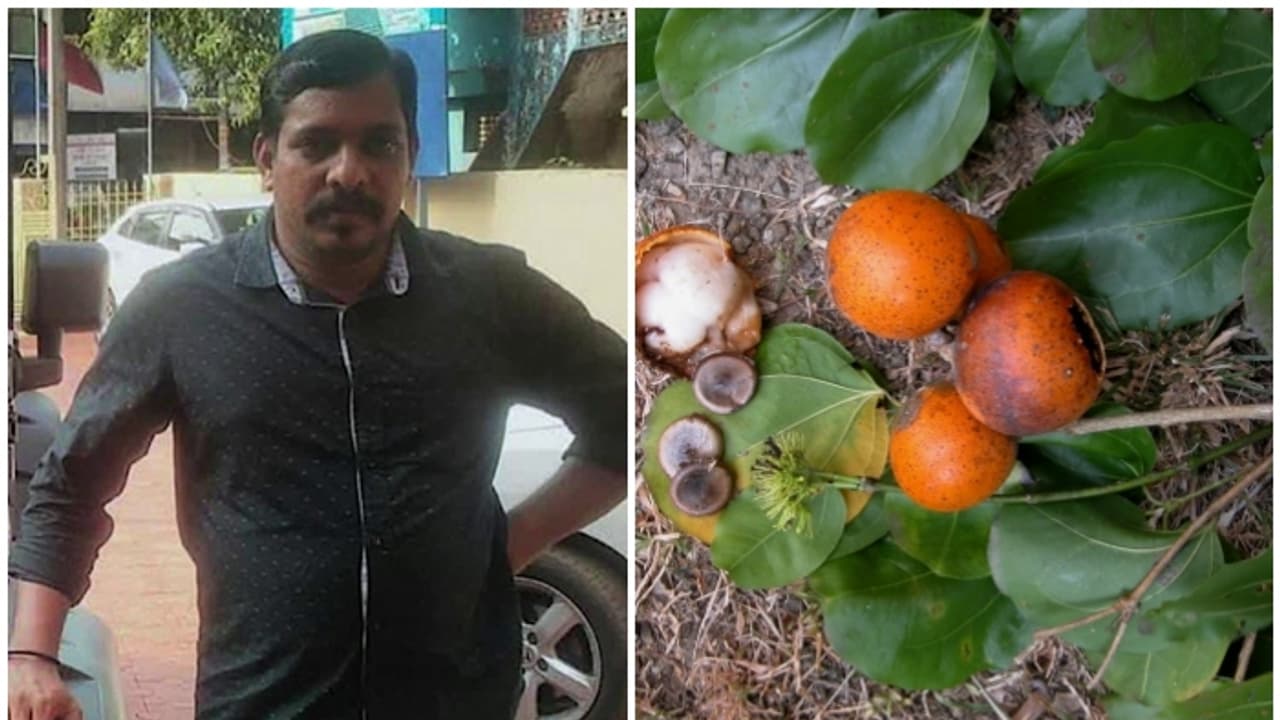 പാലക്കാട് ആചാരത്തിന്റെ ഭാഗമായി ലഭിച്ച കാഞ്ഞിരക്കായ കഴിച്ച യുവാവ് മരിച്ചു