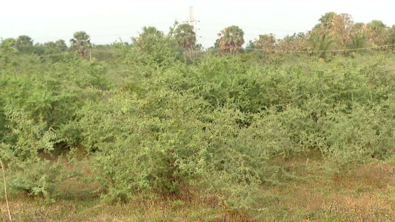 എലപ്പുള്ളിയില് ബ്രൂവറിക്കുള്ള സർക്കാർ അനുമതി ദുരൂഹം, ജനദ്രോഹ നടപടി ,കടുത്ത വിമര്ശനവുമായി പാലക്കാട് രൂപത എലപ്പുള്ളിയില് ബ്രൂവറിക്കുള്ള സർക്കാർ അനുമതി ദുരൂഹം, ജനദ്രോഹ നടപടി ,കടുത്ത വിമര്ശനവുമായി പാലക്കാട് രൂപത