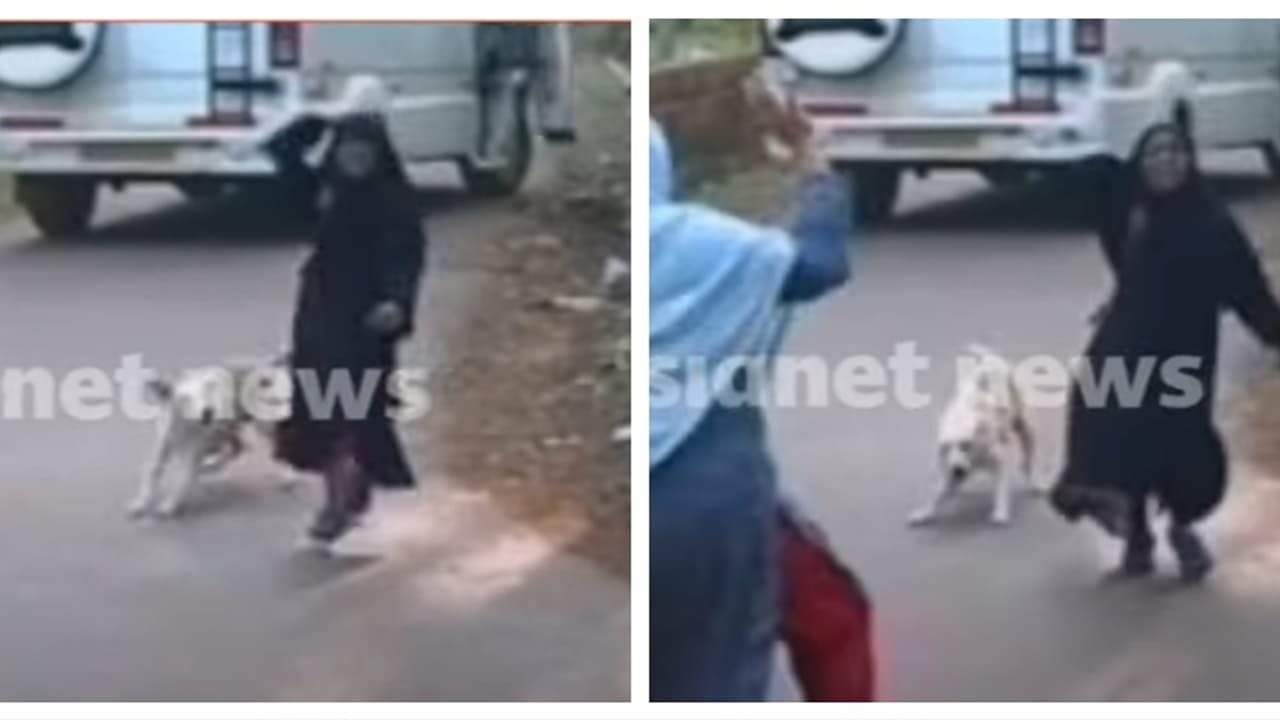 മദ്രസയിൽ നിന്നും തിരികെ വരികയായിരുന്ന കുട്ടിക്ക് നേരെ പാഞ്ഞടുത്ത് തെരുവുനായ; രക്ഷ തലനാരിഴയ്ക്ക്; വീഡിയോ മദ്രസയിൽ നിന്നും തിരികെ വരികയായിരുന്ന കുട്ടിക്ക് നേരെ പാഞ്ഞടുത്ത് തെരുവുനായ; രക്ഷ തലനാരിഴയ്ക്ക്; വീഡിയോ