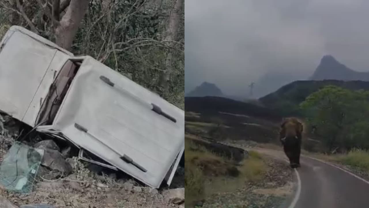 'വട്ടം വച്ചു, കൊമ്പിൽ കോർത്ത് മറിച്ചിട്ടു',വാൽപ്പാറയിൽ വൈദ്യുതി വകുപ്പിന്റെ ജീപ്പിന് നേരെ കാട്ടാന, രക്ഷപ്പെടൽ 'വട്ടം വച്ചു, കൊമ്പിൽ കോർത്ത് മറിച്ചിട്ടു',വാൽപ്പാറയിൽ വൈദ്യുതി വകുപ്പിന്റെ ജീപ്പിന് നേരെ കാട്ടാന, രക്ഷപ്പെടൽ