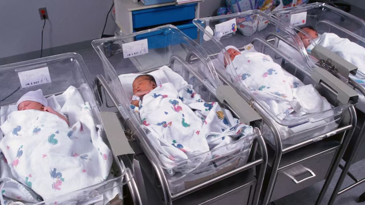 ಜನ್ಮಸಿದ್ದ ಪೌರತ್ವ ರದ್ದು, ಅಮೆರಿಕದಲ್ಲಿ ಹೆಚ್ಚಾದ ಭಾರತೀಯ ಮೂಲದ ಗರ್ಭಿಣಿಯರ ಸಿಸೇರಿಯನ್‌ ಹೆರಿಗೆ!