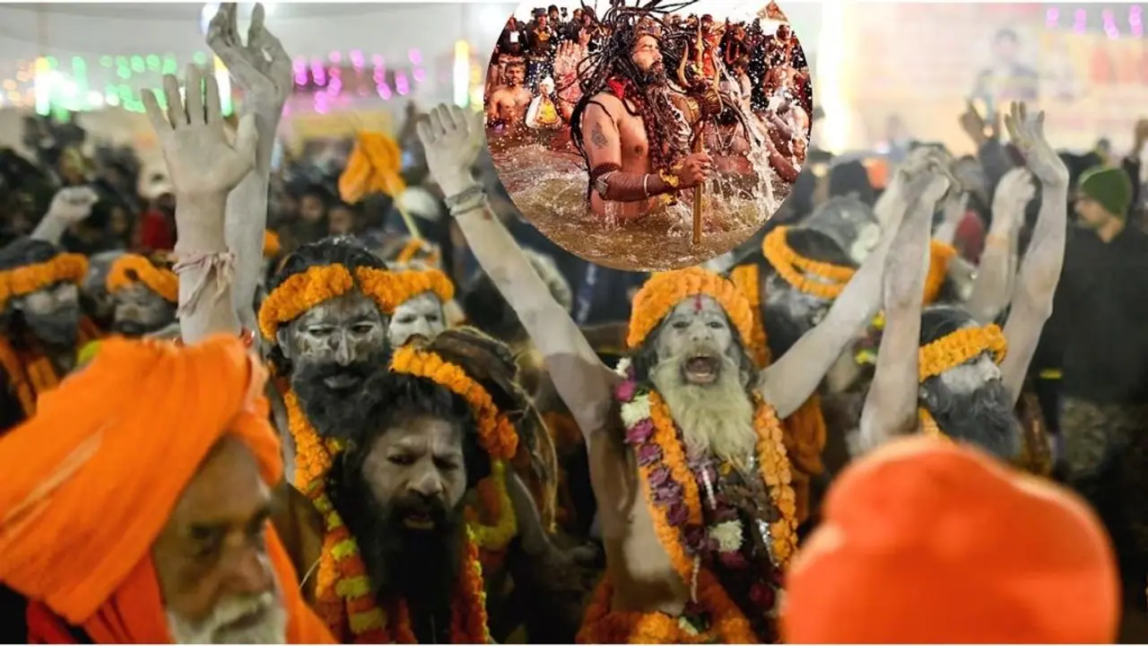 ಒಂದೇ ಕಡೆ ಹೆಚ್ಚು ದಿನ ತಂಗುವಂತಿಲ್ಲ, ಕಂಡ ಕಂಡಲ್ಲಿ ಭಿಕ್ಷೆ ಬೇಡುವಂತಿಲ್ಲ, ನಾಗ ಸಾಧುಗಳ ವರ್ಗವೆಷ್ಟು ಗೊತ್ತಾ?