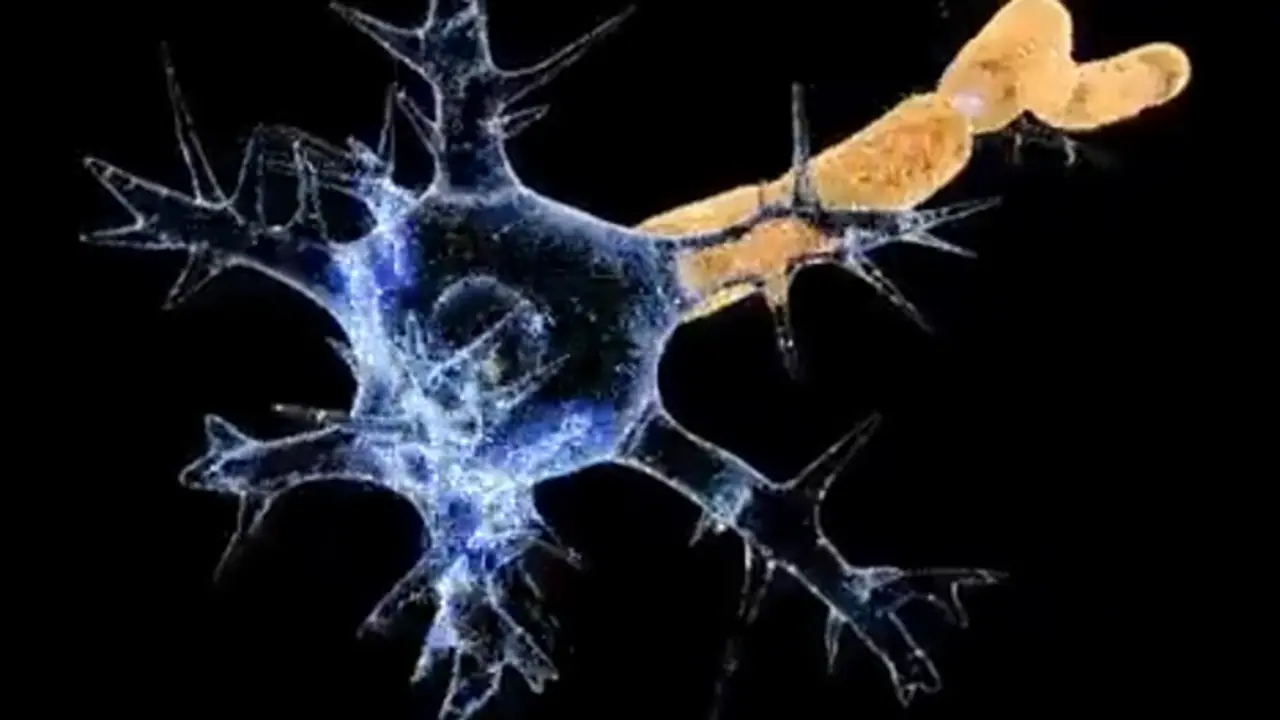 സ്വകാര്യ ആശുപത്രിയിൽ ഒരു കുത്തിവയ്പ്പിന് 20,000 രൂപ ചെലവ്; ഗില്ലന് ബാരെ സിന്ഡ്രം പടരുമ്പോൾ വലിയ ആശങ്ക സ്വകാര്യ ആശുപത്രിയിൽ ഒരു കുത്തിവയ്പ്പിന് 20,000 രൂപ ചെലവ്; ഗില്ലന് ബാരെ സിന്ഡ്രം പടരുമ്പോൾ വലിയ ആശങ്ക