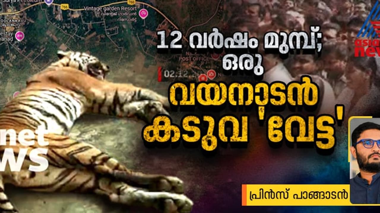 നേർക്ക് നേരെ ചാടിയ കടുവയെ പോയന്‍റ് ബ്ലാങ്കിൽ തീർത്ത് ഉദ്യോഗസ്ഥർ; 12 വര്‍ഷം മുമ്പത്തെ ഒരു വയനാടന്‍ അനുഭവം
