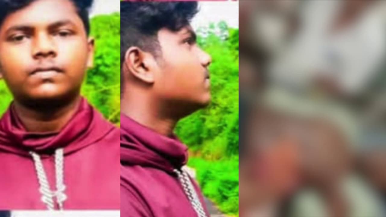 പാലക്കാട് കാട്ടാന ആക്രമണം; യുവാവിനെ കുത്തി കൊമ്പിൽ കോര്‍ത്തെറിഞ്ഞു, ഗുരുതര പരിക്ക്