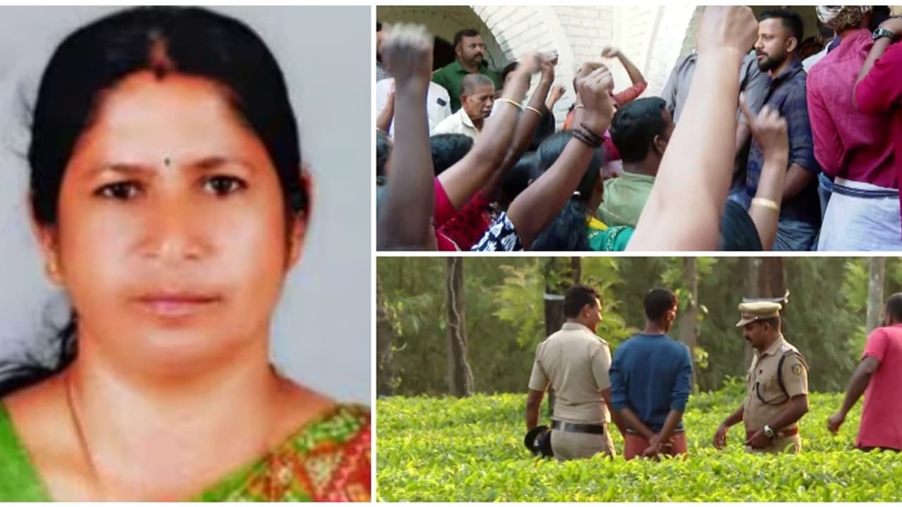 കടുവ കുടുങ്ങിയാൽ മൃഗശാലയിലേക്ക് മാറ്റും, സ്ഥലത്ത് ജാഗ്രതാ നിർദ്ദേശം; അടിയന്തര ഘട്ടങ്ങളിൽ വിളിക്കാൻ നമ്പറുകൾ 