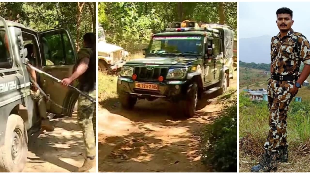 വയനാട്ടിൽ തെരച്ചിലിനിറങ്ങിയ ദൗത്യ സംഘത്തെ കടുവ ആക്രമിച്ചു; ആർആർടി സംഘാംഗത്തിന് പരിക്ക് 