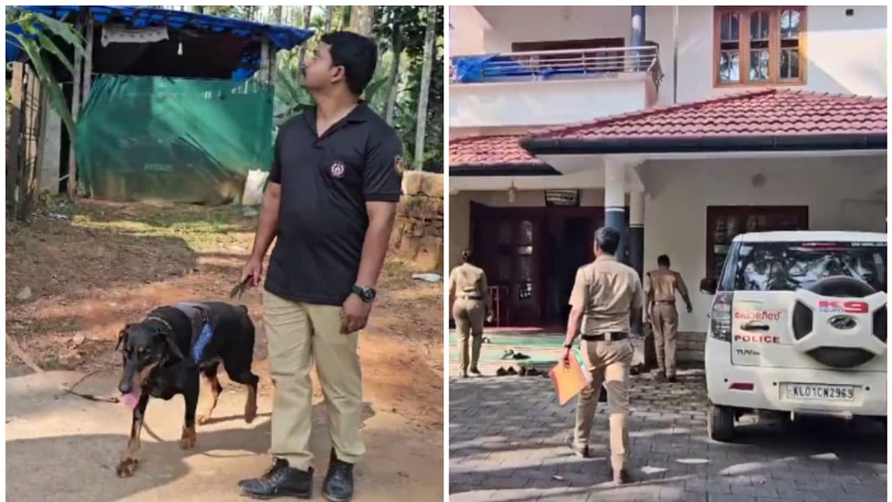 8 പവൻ സ്വർണം, 15000 രൂപ, സിസിടിവി ദൃശ്യങ്ങൾ സാക്ഷി, 8 വീടുകളില് കവർച്ച; താമരശ്ശേരിയിൽ മോഷണ പരമ്പര 8 പവൻ സ്വർണം, 15000 രൂപ, സിസിടിവി ദൃശ്യങ്ങൾ സാക്ഷി, 8 വീടുകളില് കവർച്ച; താമരശ്ശേരിയിൽ മോഷണ പരമ്പര