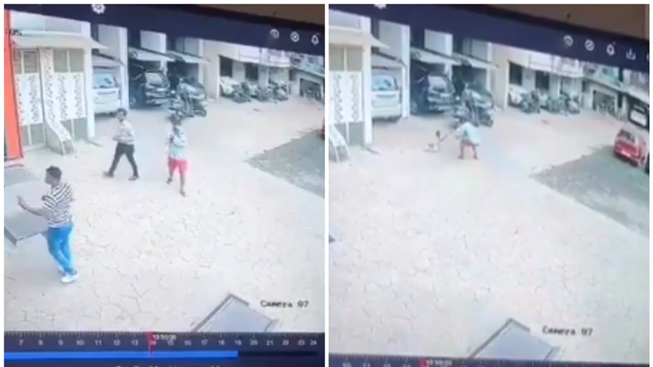 'ദൈവത്തിന്റെ കരങ്ങള്' ! കയ്യടിച്ച് സോഷ്യല് മീഡിയ; 13 ാം നിലയില് നിന്ന് വീണ 2 വയസുള്ള കുഞ്ഞ് രക്ഷപ്പെട്ടു 'ദൈവത്തിന്റെ കരങ്ങള്' ! കയ്യടിച്ച് സോഷ്യല് മീഡിയ; 13 ാം നിലയില് നിന്ന് വീണ 2 വയസുള്ള കുഞ്ഞ് രക്ഷപ്പെട്ടു