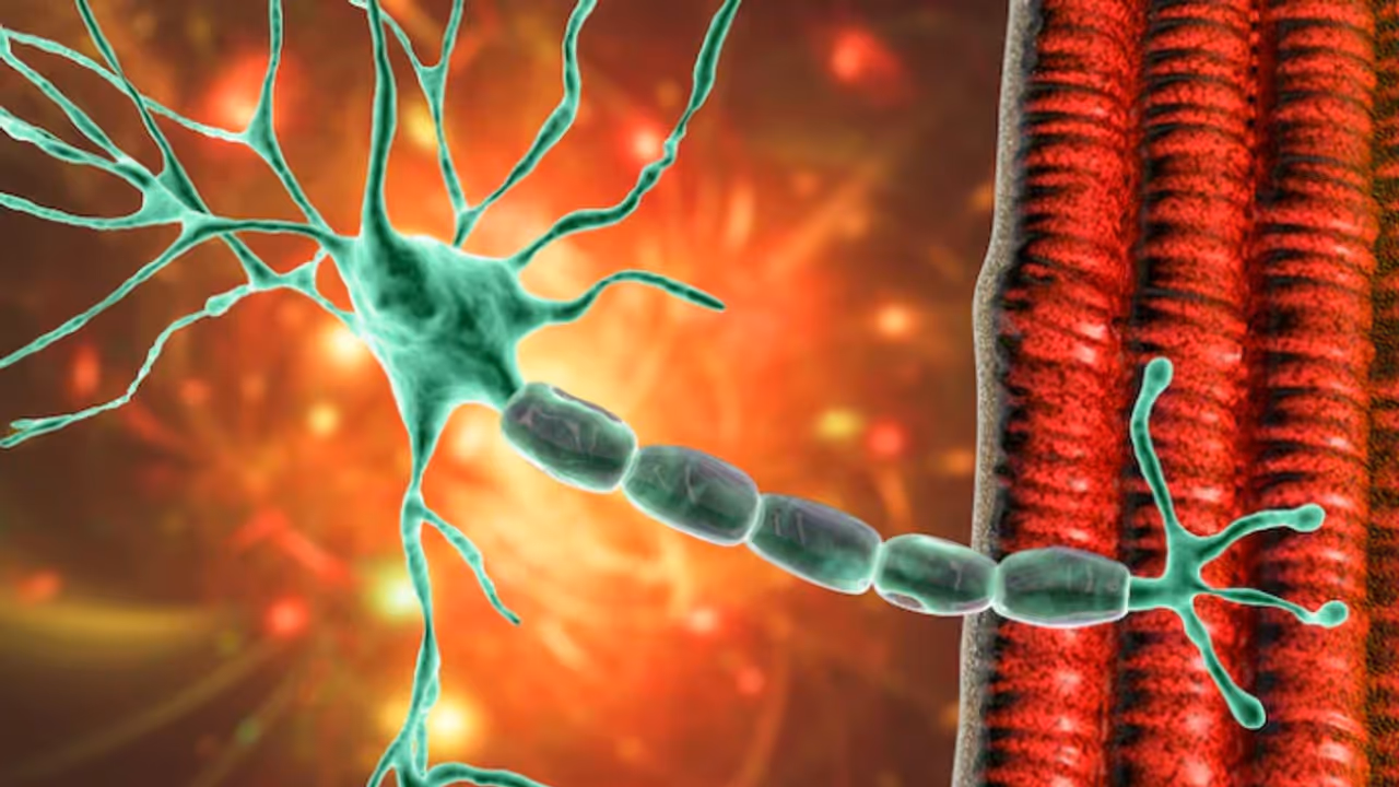 പൂനെയിൽ ആശങ്കയായി ഗില്ലൻ ബാരി സിൻഡ്രോം; ആശുപത്രിയില്‍ പ്രവേശിപ്പിച്ചവരുടെ എണ്ണം 100 കവിഞ്ഞു