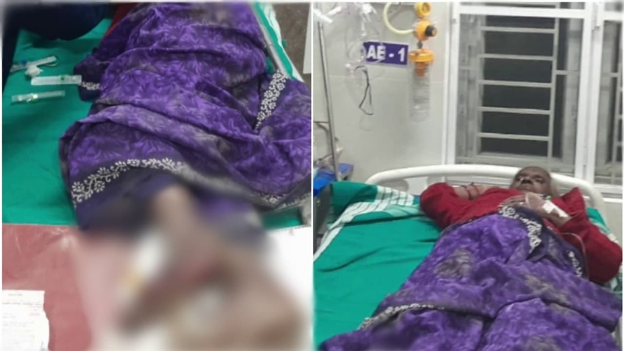 രാത്രിയില്‍ ശബ്ദം കേട്ട് വീടിന് പുറത്തിറങ്ങി, 67കാരിയുടെ കാല്‍ ചവിട്ടിയൊടിച്ച് കാട്ടാന; സംഭവം വാല്‍പ്പാറയില്‍