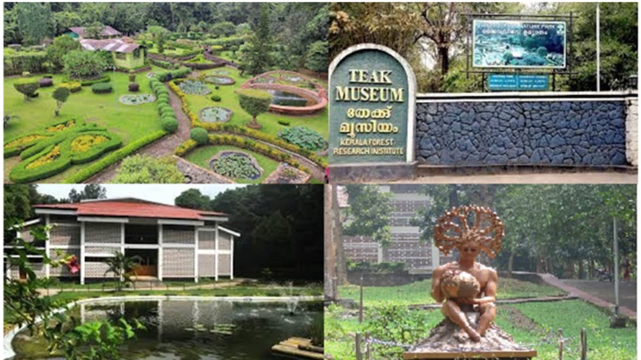 nilambur teak mueseum