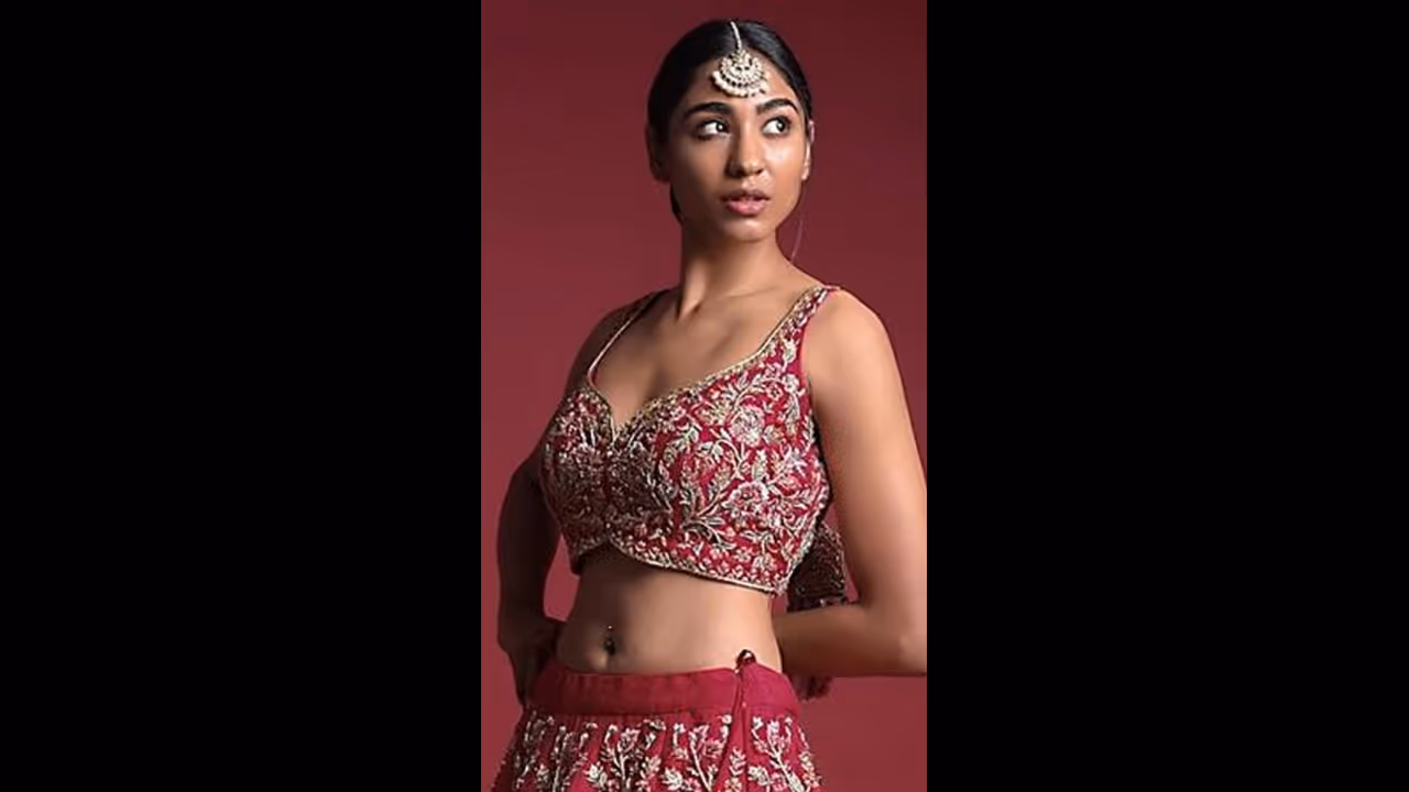 Exquisite Heavy Bridal Maggam work blouse designs for wedding lehenga Exquisite Heavy Bridal Maggam work blouse designs for wedding lehenga