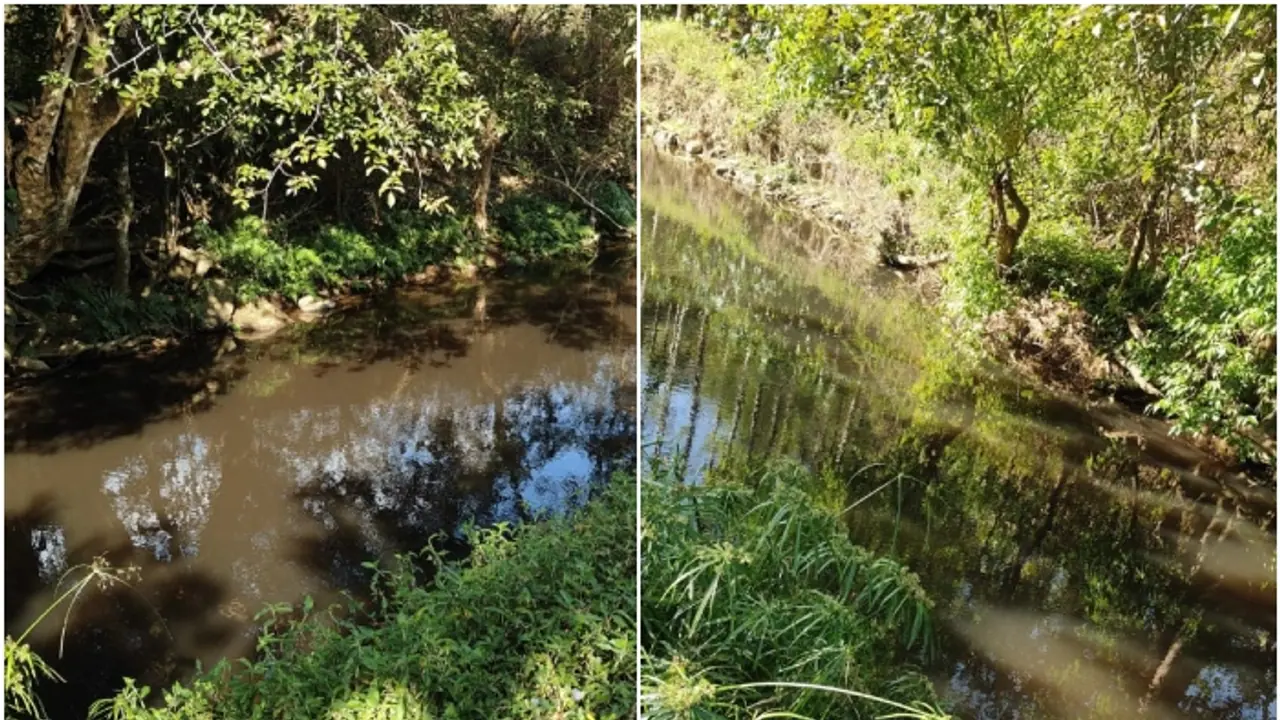 ಚಿಕ್ಕಮಗಳೂರು: ಹಳ್ಳಕ್ಕೆ ಬಿಡುತ್ತಿರುವ ಕಾಫಿ ಪಲ್ಪರ್ ಕಲುಷಿತ ನೀರು, ಜಲಚರಗಳ ಒದ್ದಾಟ, ಕುಡಿಯುವ ನೀರಿಗೆ ಪರದಾಟ! ಚಿಕ್ಕಮಗಳೂರು: ಹಳ್ಳಕ್ಕೆ ಬಿಡುತ್ತಿರುವ ಕಾಫಿ ಪಲ್ಪರ್ ಕಲುಷಿತ ನೀರು, ಜಲಚರಗಳ ಒದ್ದಾಟ, ಕುಡಿಯುವ ನೀರಿಗೆ ಪರದಾಟ!