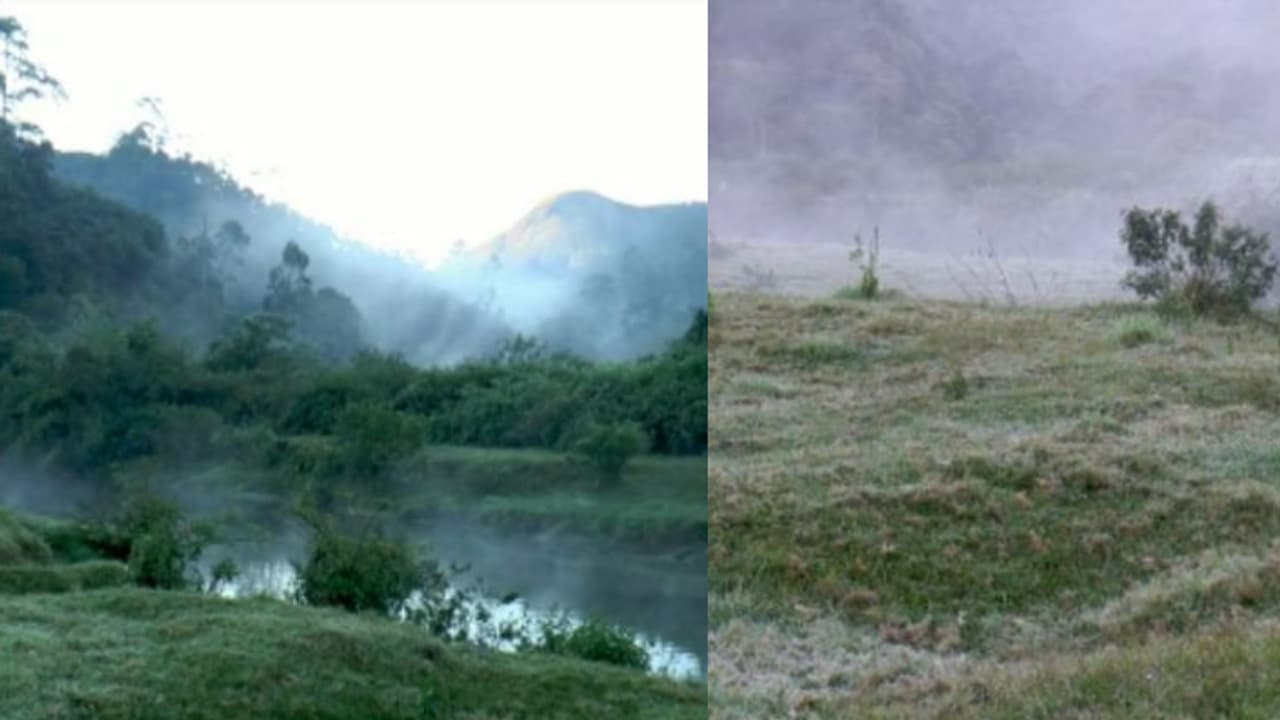 ടൂറിസ്റ്റുകൾ ഹാപ്പിയല്ലേ...! മഞ്ഞ് പുതച്ച്, തണുത്തുറഞ്ഞ് മൂന്നാർ, വീണ്ടും താപനില പൂജ്യത്തിലെത്തി