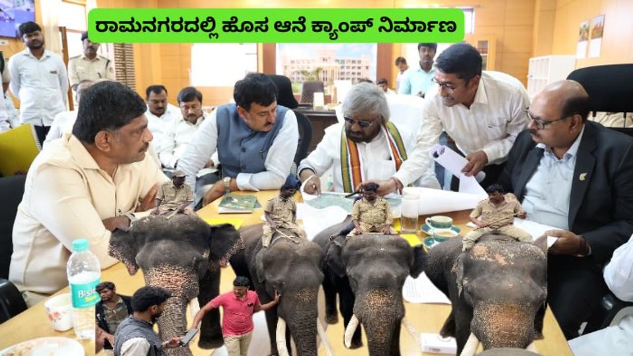 ರಾಮನಗರದಲ್ಲಿ 50 ಕೋಟಿ ರೂ. ವೆಚ್ಚದಲ್ಲಿ ಆನೆ ಕ್ಯಾಂಪ್ ನಿರ್ಮಾಣ; ಸಚಿವ ಈಶ್ವರ ಖಂಡ್ರೆ!