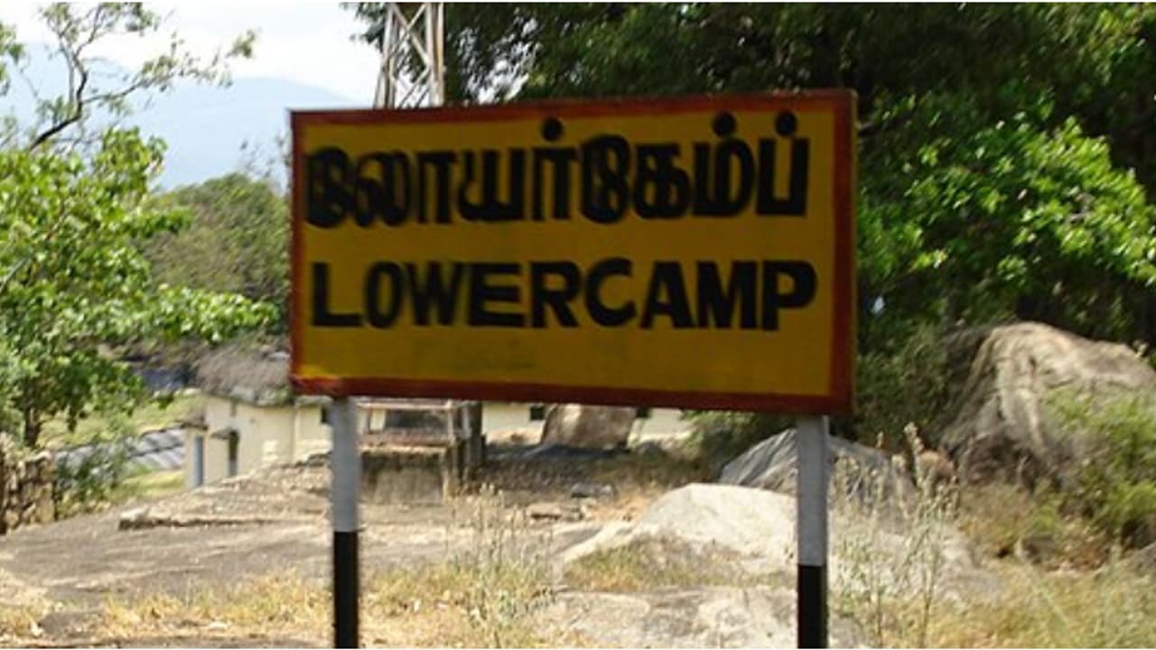 ലോവര് ക്യാമ്പില് കര്ഷകനു നേരെ കരടിയുടെ ആക്രമണം; മുഖത്ത് ഗുരുതര പരിക്ക് ലോവര് ക്യാമ്പില് കര്ഷകനു നേരെ കരടിയുടെ ആക്രമണം; മുഖത്ത് ഗുരുതര പരിക്ക്