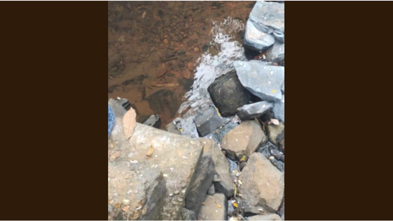 കാരശ്ശേരിയിൽ 52കാരന്റെ മൃതദേഹം തോട്ടില് കണ്ടെത്തി; കലുങ്കിലിരുന്നപ്പോള് വീണുപോയതാവാമെന്ന് പ്രാഥമിക നിഗമനം കാരശ്ശേരിയിൽ 52കാരന്റെ മൃതദേഹം തോട്ടില് കണ്ടെത്തി; കലുങ്കിലിരുന്നപ്പോള് വീണുപോയതാവാമെന്ന് പ്രാഥമിക നിഗമനം