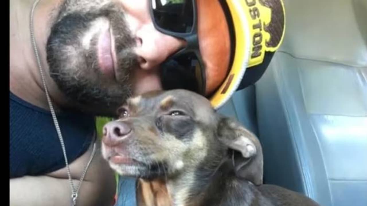 നീണ്ട എട്ട് വർഷം, അപ്രതീക്ഷിതമായി ഒരു കോൾ, പ്രിയപ്പെട്ട നായയുമായി ഒന്നുചേർന്ന് ഉടമ