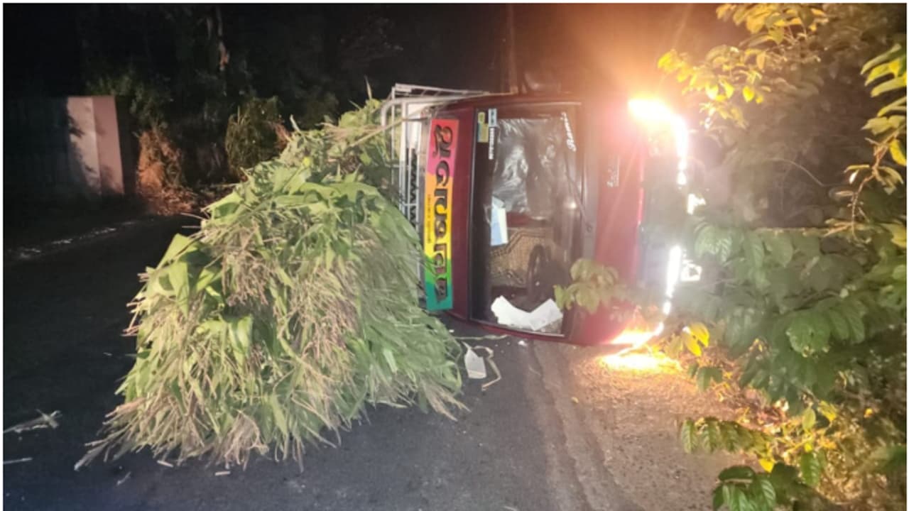 കുറ്റ്യാടി ചുരം റോഡില് ചോളപ്പുല്ല് കയറ്റി വരികയായിരുന്ന പിക്കപ്പ് വാന് നിയന്ത്രണംവിട്ട് മറിഞ്ഞു കുറ്റ്യാടി ചുരം റോഡില് ചോളപ്പുല്ല് കയറ്റി വരികയായിരുന്ന പിക്കപ്പ് വാന് നിയന്ത്രണംവിട്ട് മറിഞ്ഞു