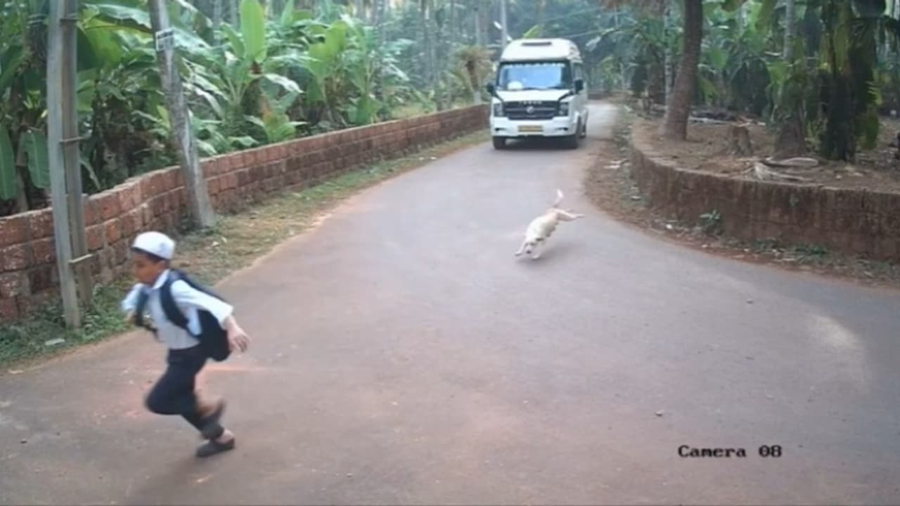 'ഒരേ സ്ഥലം ഒരേ നായ', നാദാപുരത്ത് വീണ്ടും തെരുവുനായ ആക്രമണം, സ്‌കൂള്‍ വിദ്യാര്‍ത്ഥിക്ക് പരിക്ക് 