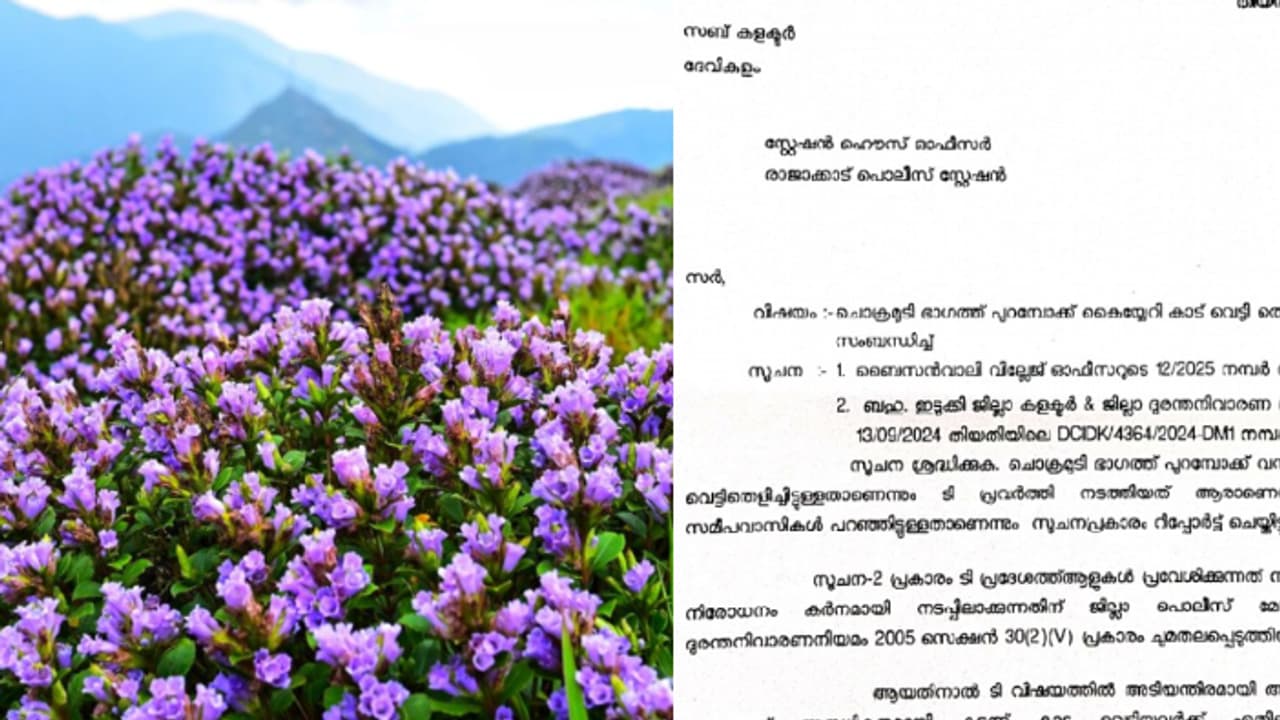 ഗേറ്റിന്റെ പൂട്ട് തകർത്ത് ചൊക്രമുടിയിൽ കയറി നീലക്കുറിഞ്ഞി നശിപ്പിച്ചു; പ്രതികൾക്ക് പണി വരുന്നു, ക്രിമിനൽ കേസ് ഗേറ്റിന്റെ പൂട്ട് തകർത്ത് ചൊക്രമുടിയിൽ കയറി നീലക്കുറിഞ്ഞി നശിപ്പിച്ചു; പ്രതികൾക്ക് പണി വരുന്നു, ക്രിമിനൽ കേസ്