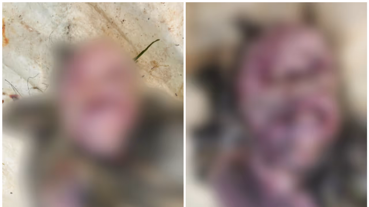 തെലങ്കാനയില് കനാലിൽ യുവാവ് കൊല്ലപ്പെട്ട നിലയിൽ; മലയാളിയാണെന്ന് സംശയം, വഴിത്തിരിവായി ഷര്ട്ടിന്റെ കോഡ് തെലങ്കാനയില് കനാലിൽ യുവാവ് കൊല്ലപ്പെട്ട നിലയിൽ; മലയാളിയാണെന്ന് സംശയം, വഴിത്തിരിവായി ഷര്ട്ടിന്റെ കോഡ്