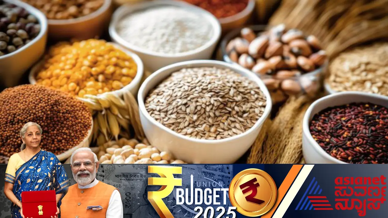 Budget 2025: ಕಿಸಾನ್‌ ಕ್ರೆಡಿಟ್‌ ಕಾರ್ಡ್‌ ಸಾಲದ ಮಿತಿ ಏರಿಕೆ, ಪ್ರಧಾನಮಂತ್ರಿ ಧನಧಾನ್ಯ ಯೋಜನೆ ಘೋಷಣೆ!