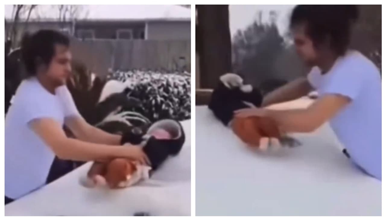 മൂന്ന് മാസം പ്രായമുള്ള കുഞ്ഞിനെ ഉപയോഗിച്ച് കാറിന്‍റെ മുകളിലെ മഞ്ഞ് നീക്കുന്ന അച്ഛന്‍; വീഡിയോ വൈറൽ 