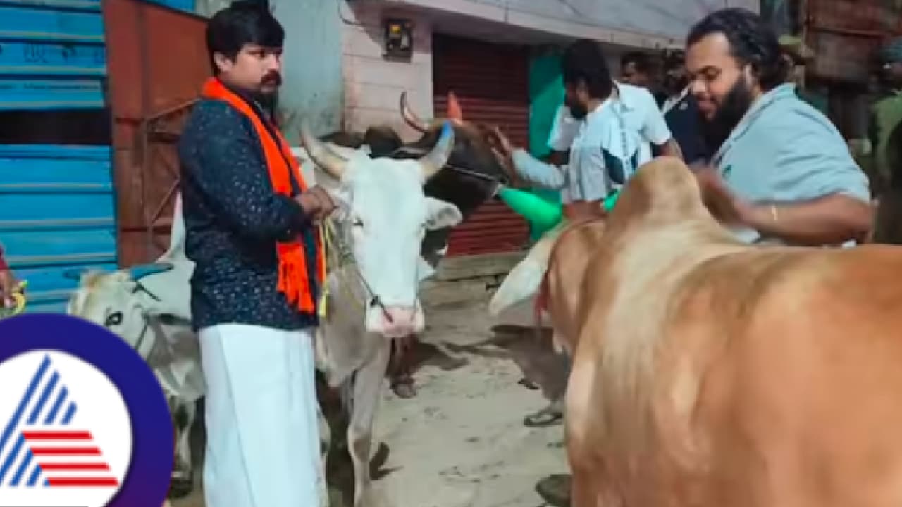 ಅಕ್ರಮ ಕಸಾಯಿಖಾನೆ ಮೇಲೆ ಪುನೀತ್ ಕೆರೆಹಳ್ಳಿ ತಂಡ ದಾಳಿ; ಗೋವುಗಳ ರಕ್ಷಣೆ