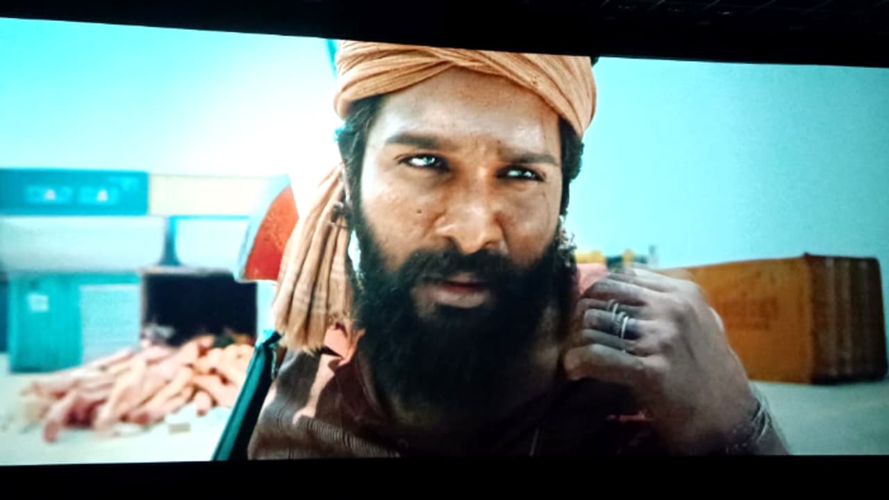 പുഷ്പ 2 നേടിയത് 1800 കോടി: ലാഭം നിര്‍മ്മാതാക്കള്‍ സര്‍ക്കാറിന് കൊടുക്കണോ? , ഹൈക്കോടതിയില്‍ ഹര്‍ജി !